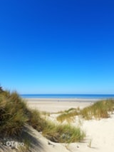 Foto #36 van La Forêt Stella-Plage