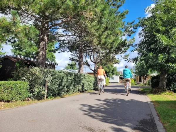La Forêt Stella-Plage