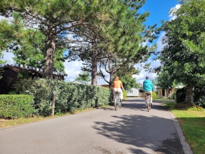 La Forêt Stella-Plage