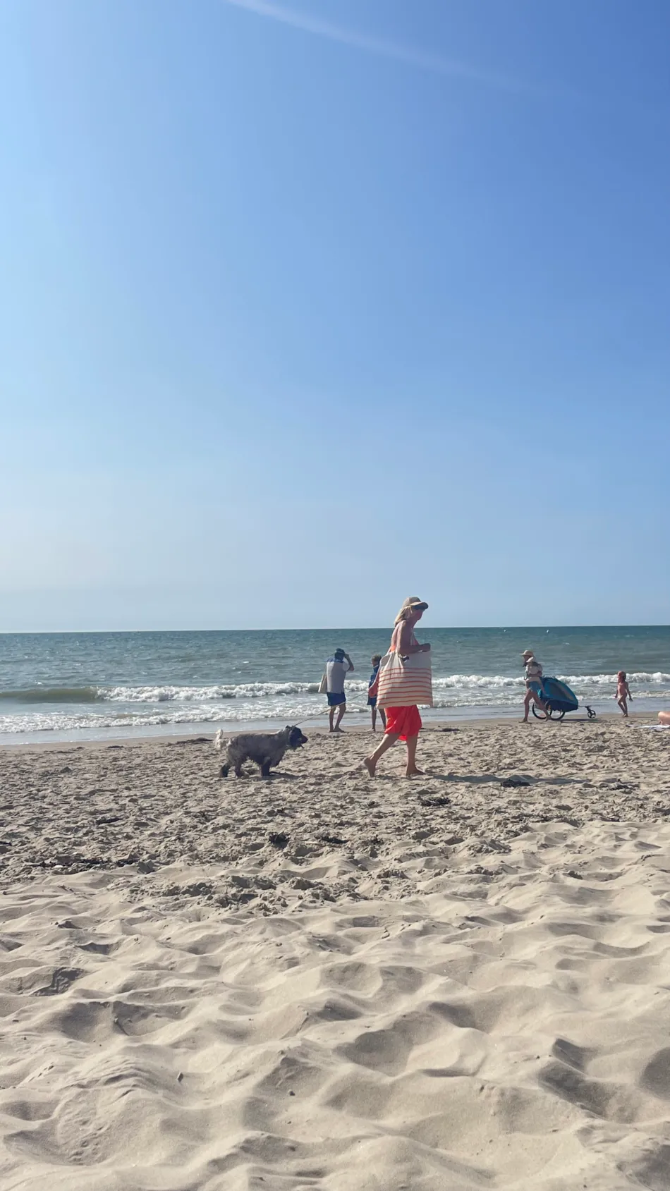 La Forêt Stella-Plage