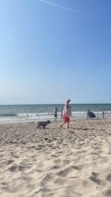 Foto #8 van La Forêt Stella-Plage