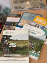 Foto #19 van La Forêt Stella-Plage