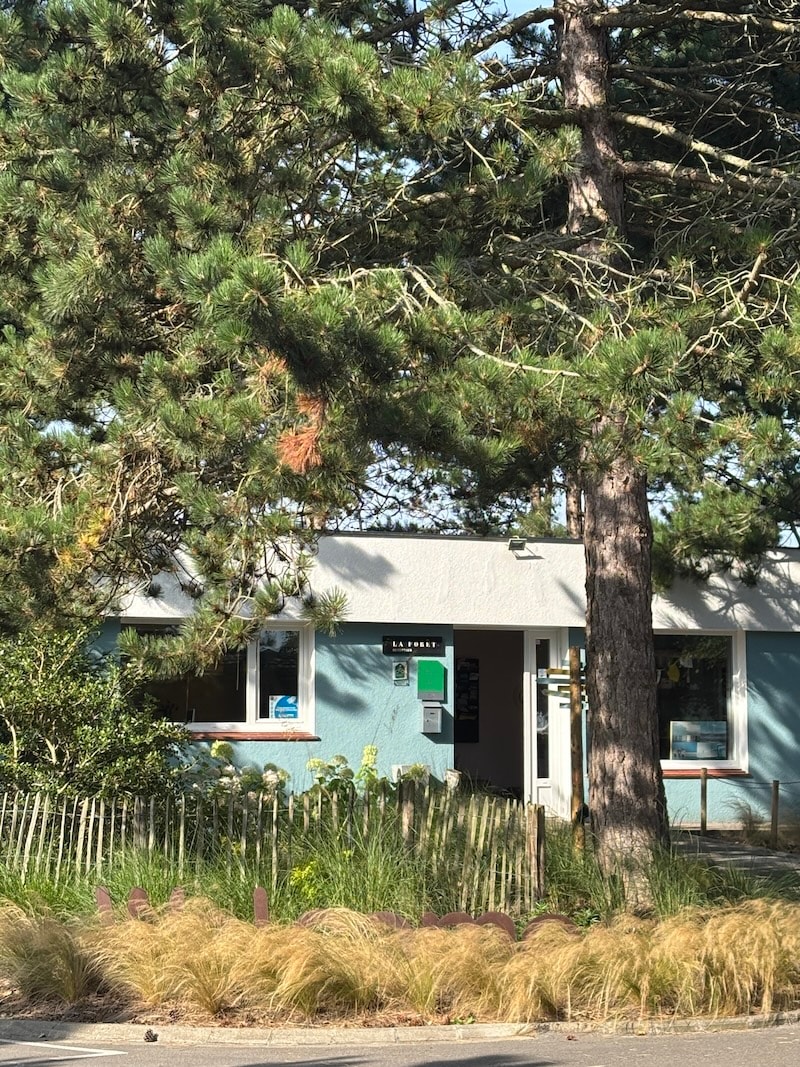 La Forêt Stella-Plage — Photo 5