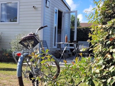 Cottage  Duo  - 1 chambre  - 2 pers - 18 m² - Terrasse & Transat