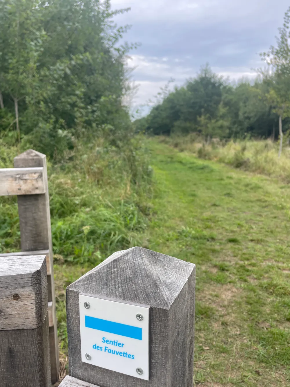 La Forêt Stella-Plage - image n°36 - UniversalBooking