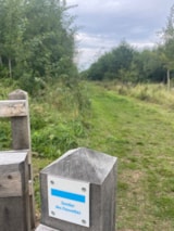 Foto #37 van La Forêt Stella-Plage