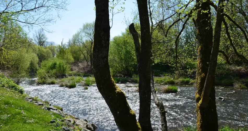 Camping De La Doller