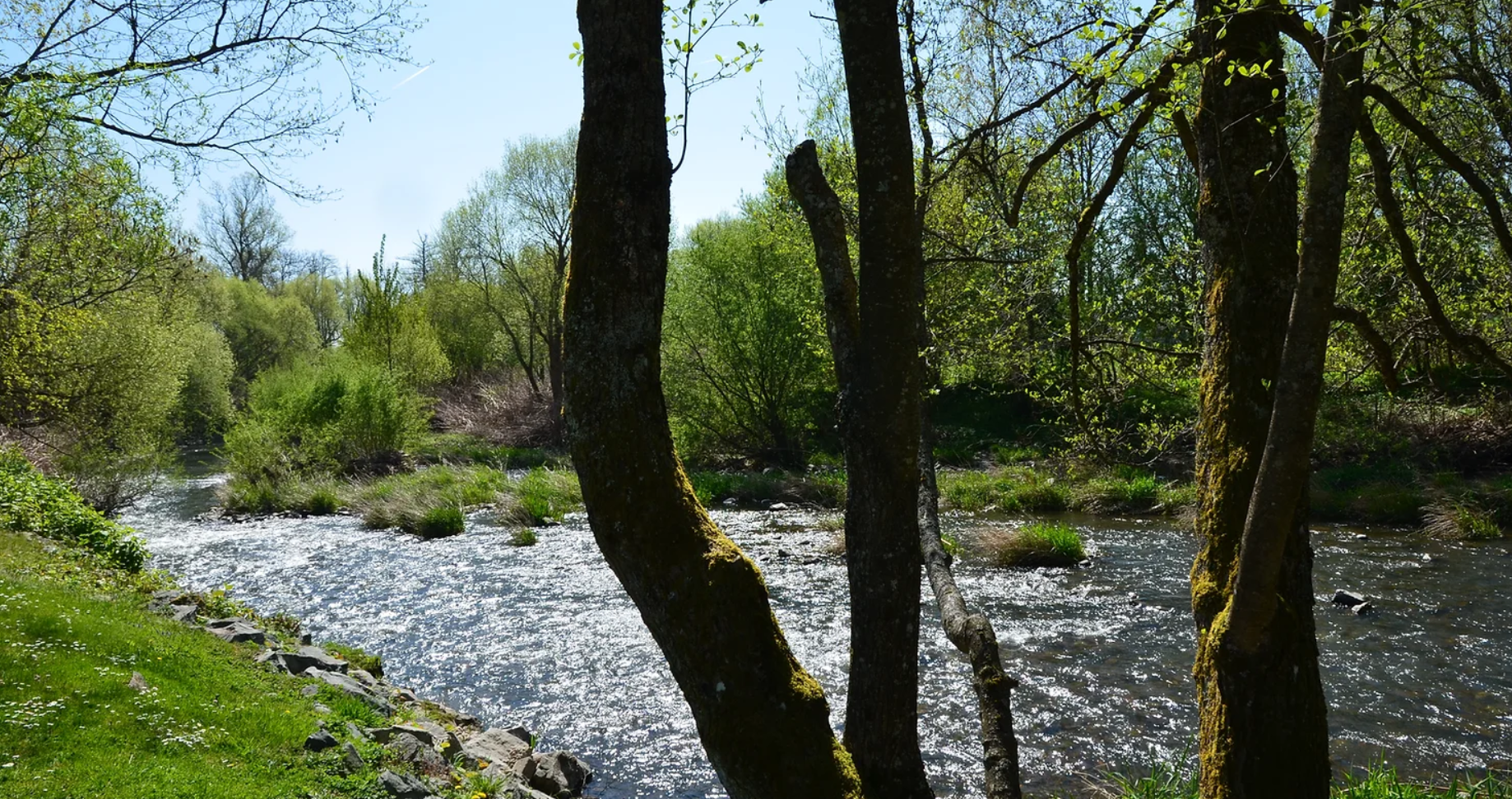 Camping De La Doller — Photo 4