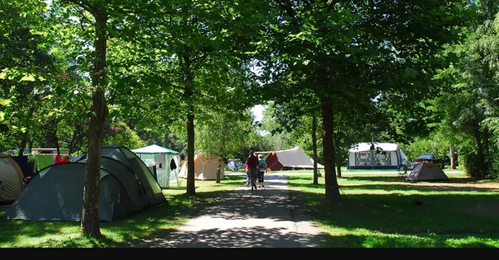 Emplacement - Forfait Acsi - Emplacement Standard - Camping De La Doller