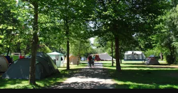 Stellplatz - Acsi  - Pauschale Stellplatz Standard - Camping De La Doller
