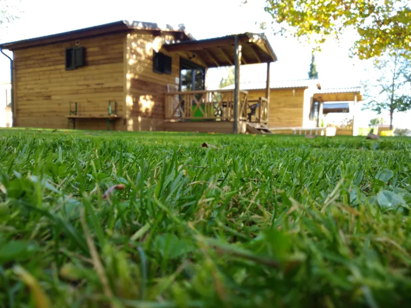 Chalet En Bois - 1 Chambre