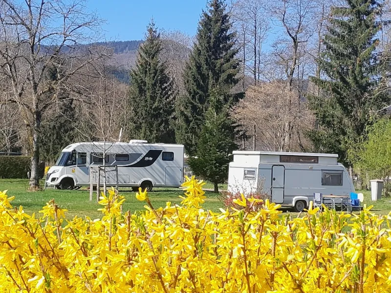 Forfait Solo (1 Personne, Emplacement, Véhicule)