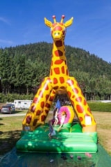 Foto #40 van Camping VERTE VALLEE