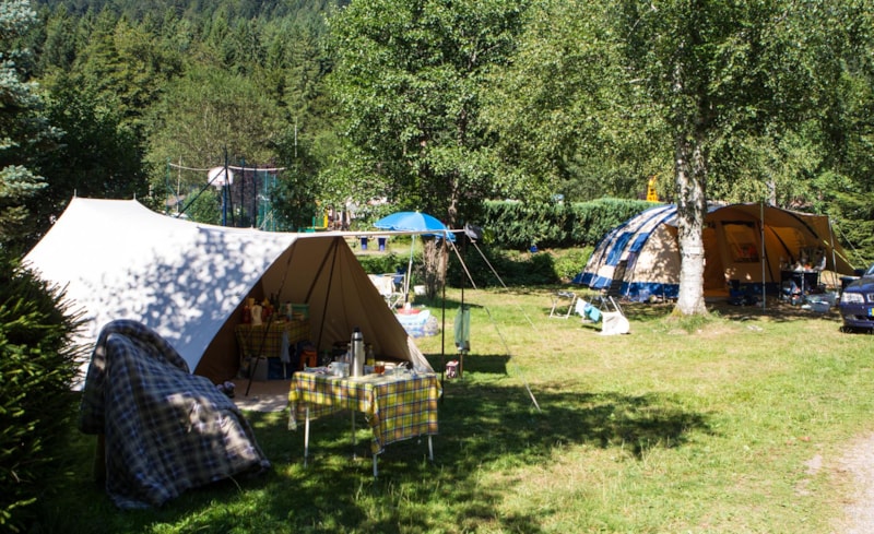 Basisprijs Natuurplaats (zonder elektriciteit) (1 tent, caravan + 1 auto of camper)