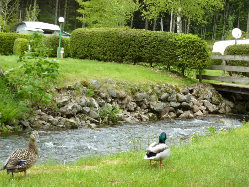 Camping VERTE VALLEE