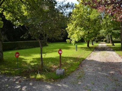 Comfort Package (1 tent, caravan or motorhome / 1 car / electricity )