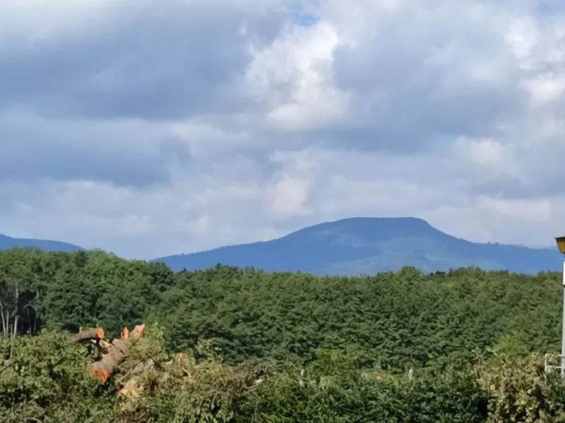 Forfait Confort (1 Tente, Caravane Ou Camping-Car / 1 Voiture / Électricité )