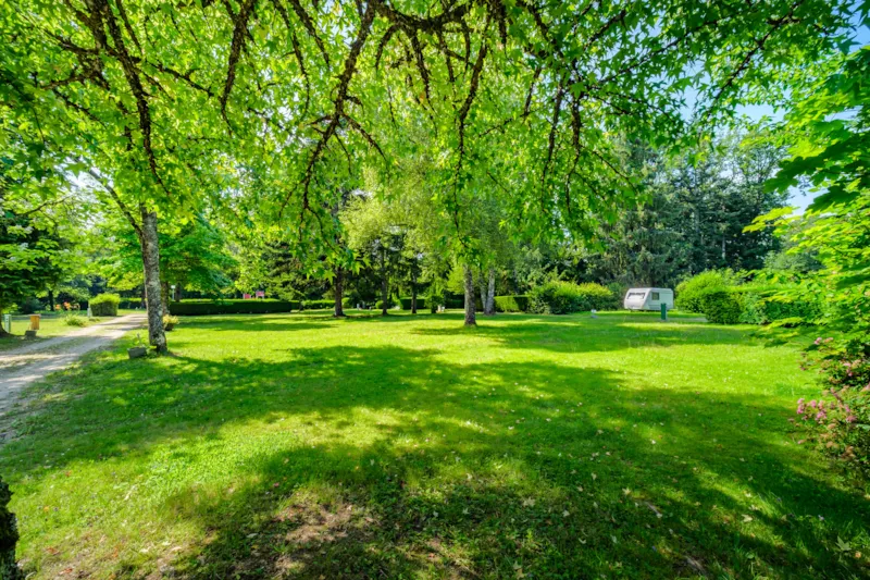 Forfait Privilège- Superficie Mini De 150 M² (1 Tente,Caravane Ou Camping-Car/1 Voiture/Électricité)