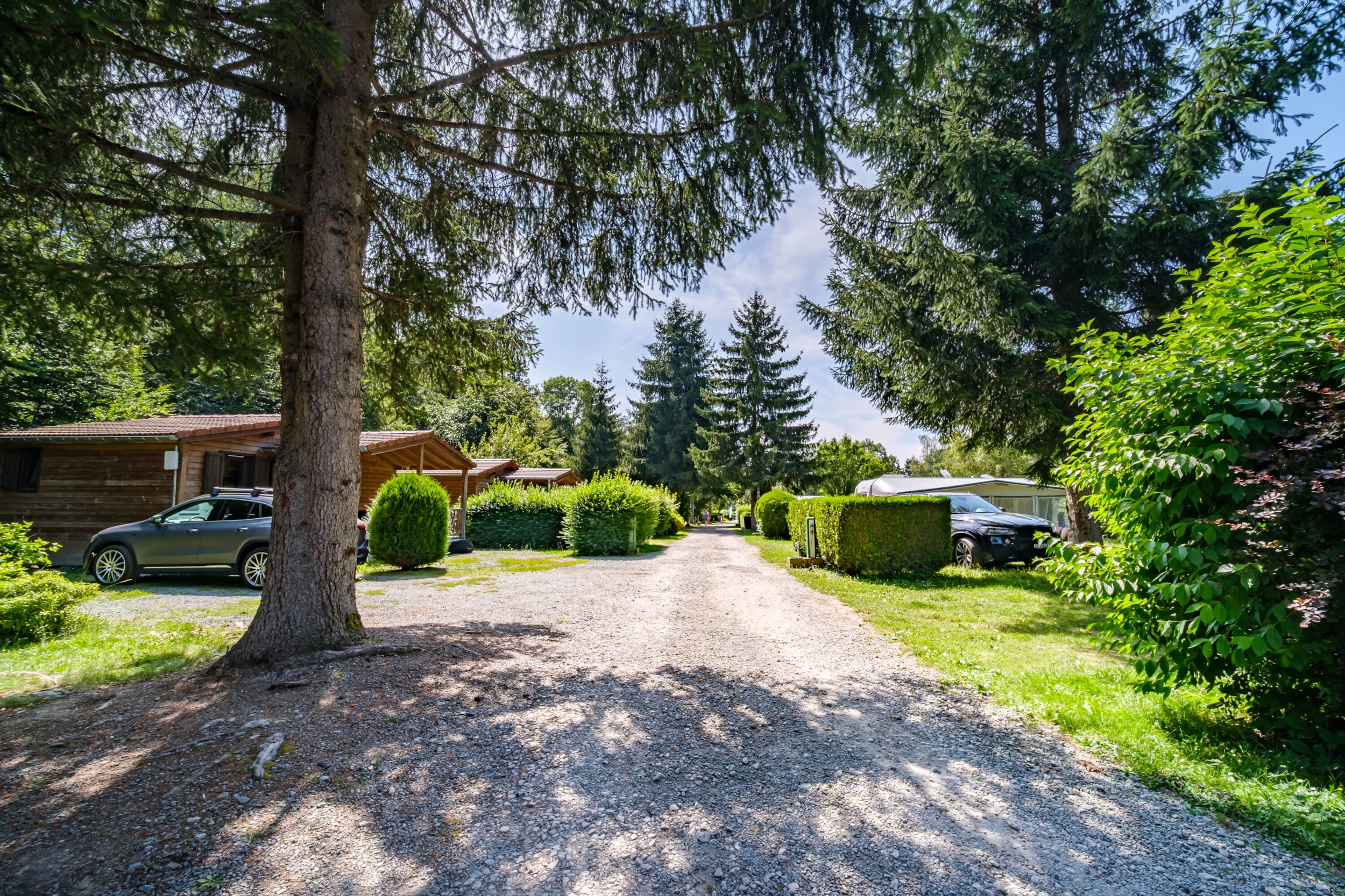 Flower Camping du Lac de la Seigneurie — Photo 5