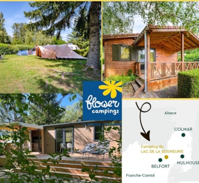 Comfort Package (1 tent, caravan or motorhome / 1 car / electricity )