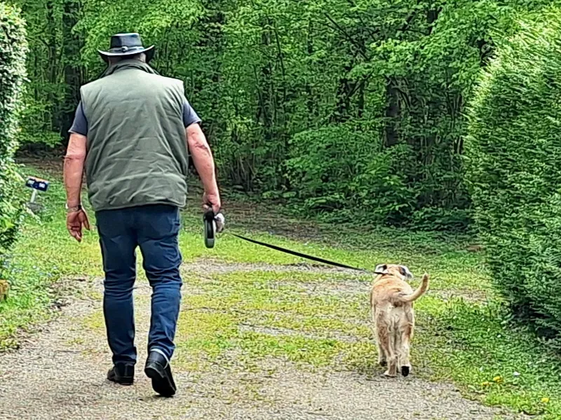 Forfait Privilège- Superficie Mini De 150 M² (1 Tente,Caravane Ou Camping-Car/1 Voiture/Électricité)