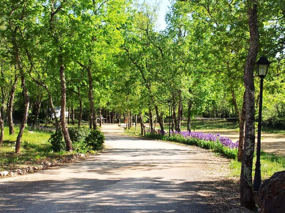 DOMAINE LE CLOS DES CAPITELLES