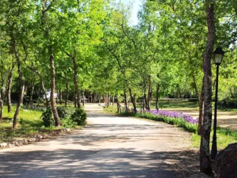 DOMAINE LE CLOS DES CAPITELLES - image n°3 - Camping Direct