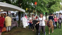 Animations Nantes Camping - Nantes
