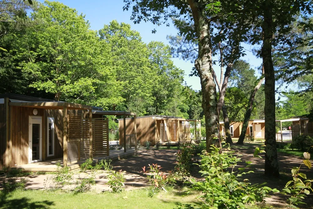 Location - Chalet Petit Ecolier 1 Chambre - 16M² - NANTES CAMPING
