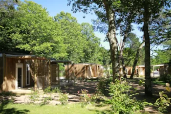 Mietunterkunft - Chalet Petit Ecolier 1 Zimmer - 16M² - NANTES CAMPING