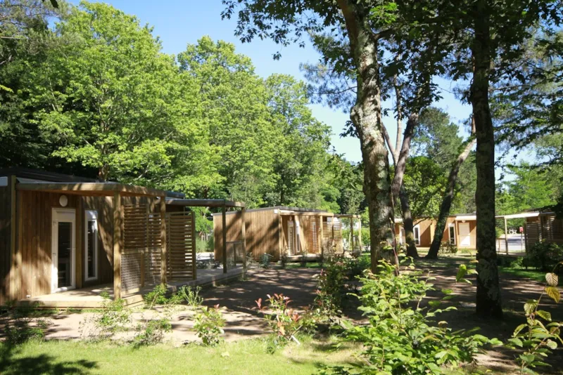 Chalet Petit Ecolier 1 Chambre - 16M²