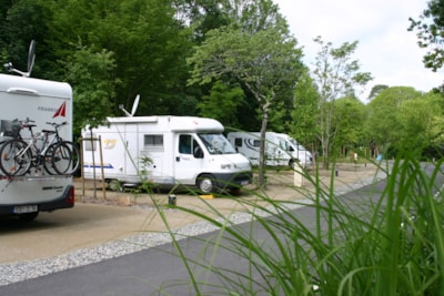 ACSI Camping Car + electricity + 1 dog