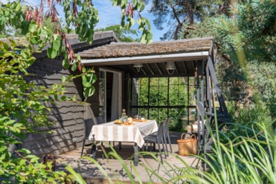 Chalet le Royal 3 bedrooms 46m² + covered terrace 12m²