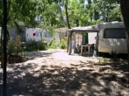 Kampeerplaats(en) - Standplaats + 1 Voertuig + Tent Of Caravan - Camping Vert Gapeau