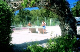 Camping Vert Gapeau - image n°12 - Roulottes