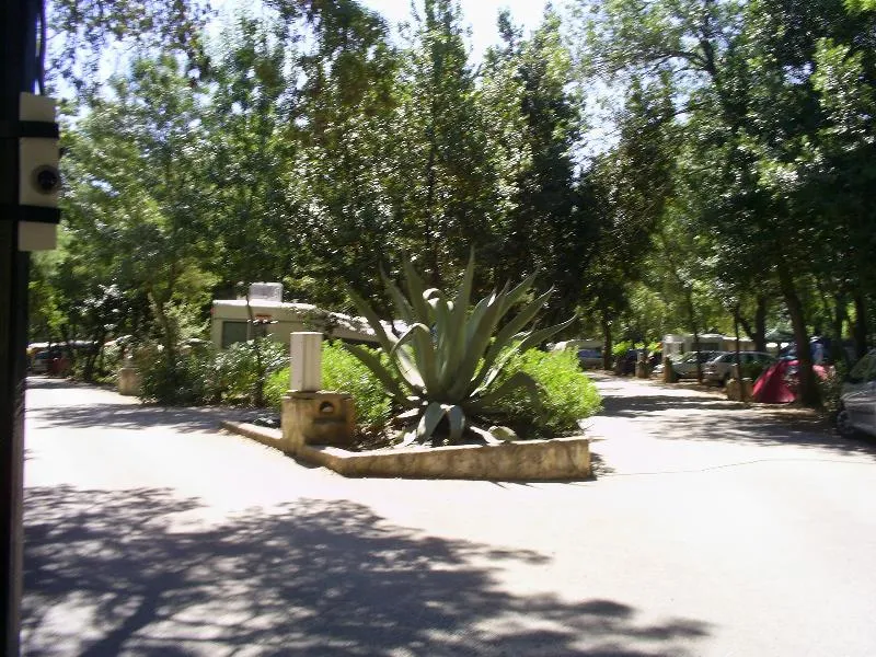 Emplacement + Électricité 10 Ampères + Voiture + Caravane Ou Tente