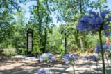 Foto #29 van Camping Naturiste La Tuquette