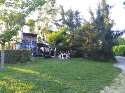 Campsite for tents, caravans, and RVs