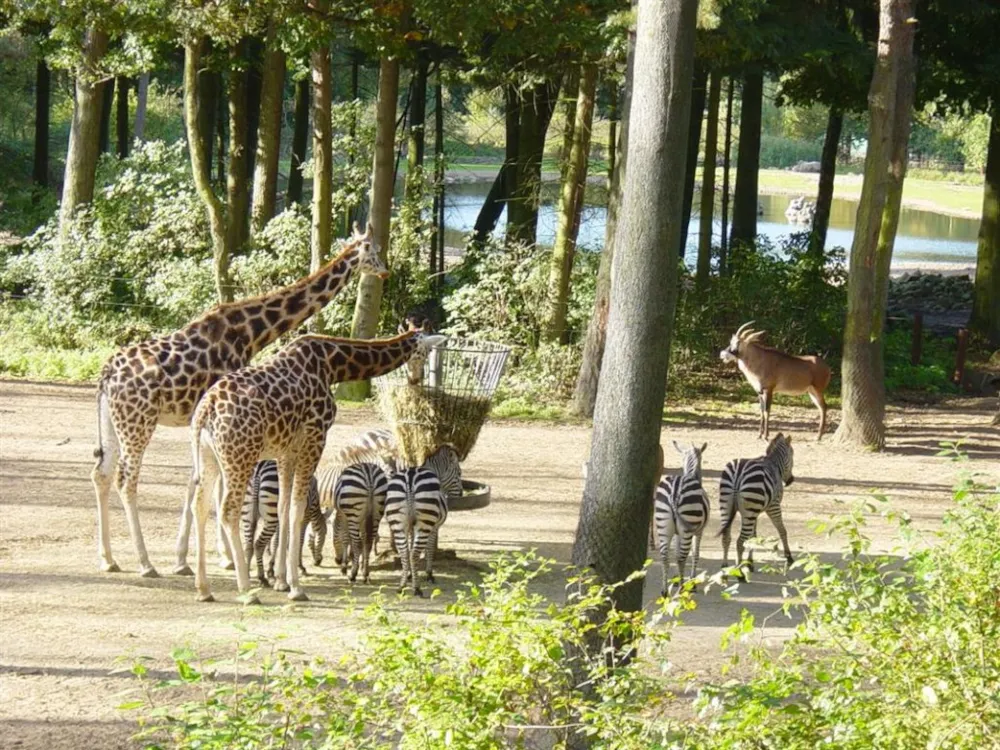 CAMPING LES RIVES DE VILAINE