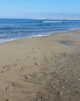 Foto #11 van Domaine de la Palme