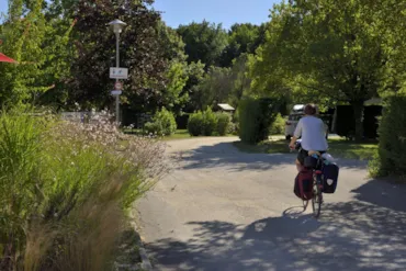 Camping De La Lône - RhoneAlpes