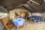 Safari Lodge Without Toilet Blocks Safari Lodge Without Toilet Blocks