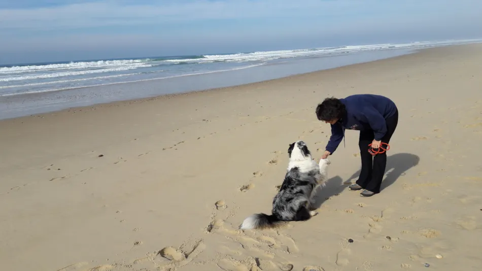 Clico Chic - Camping Le Médoc Bleu