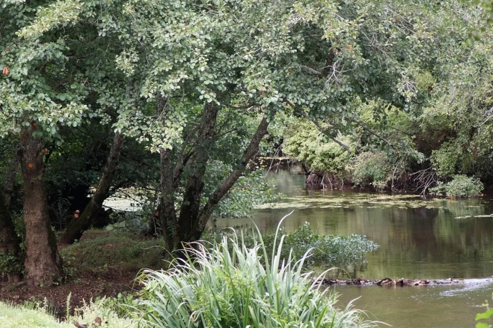 Camping d'Auberoche