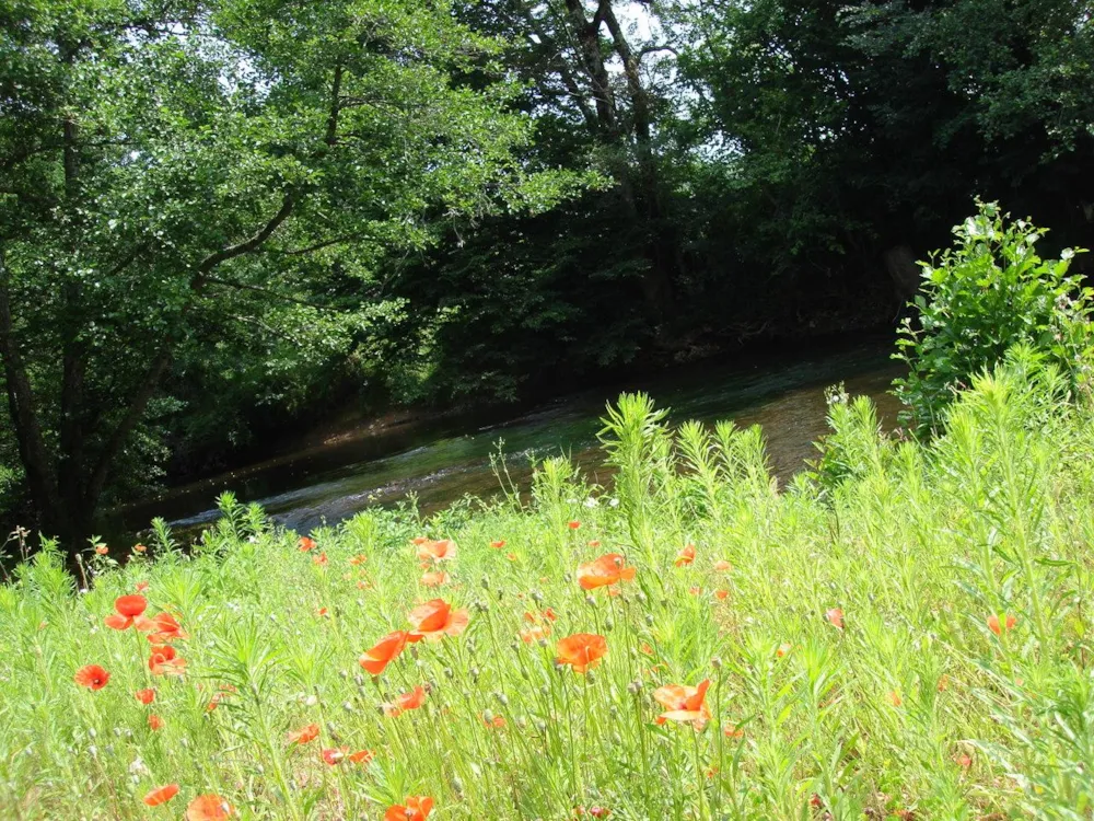 Camping d'Auberoche