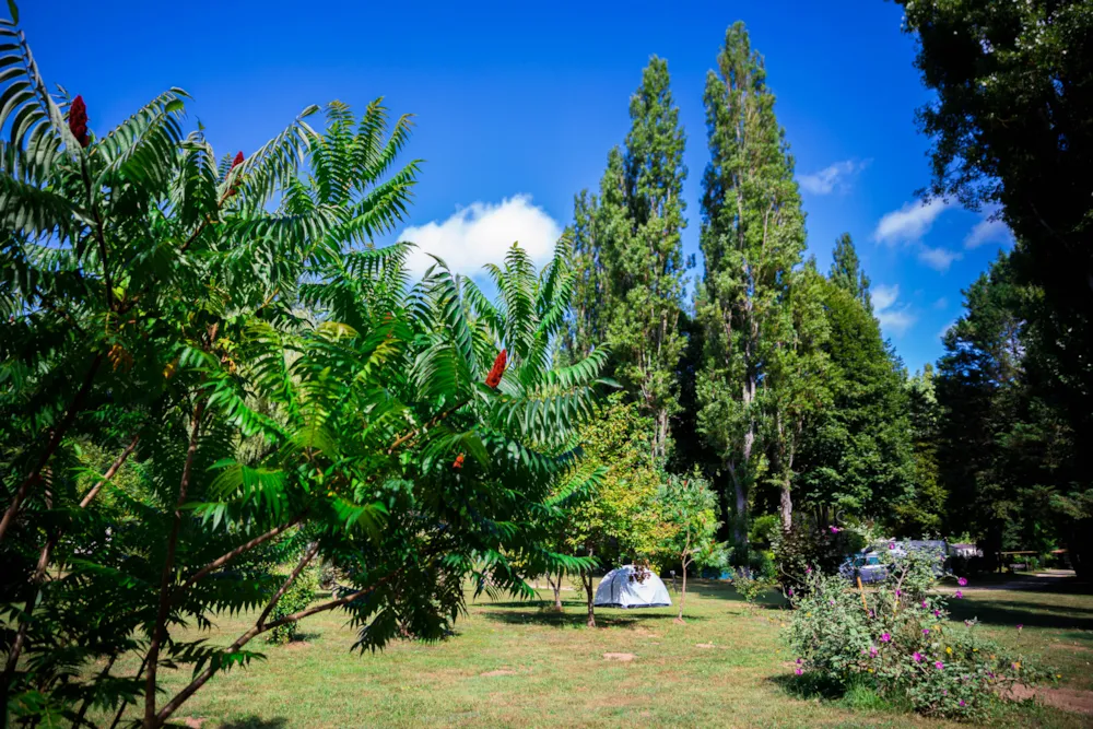 Camping d'Auberoche