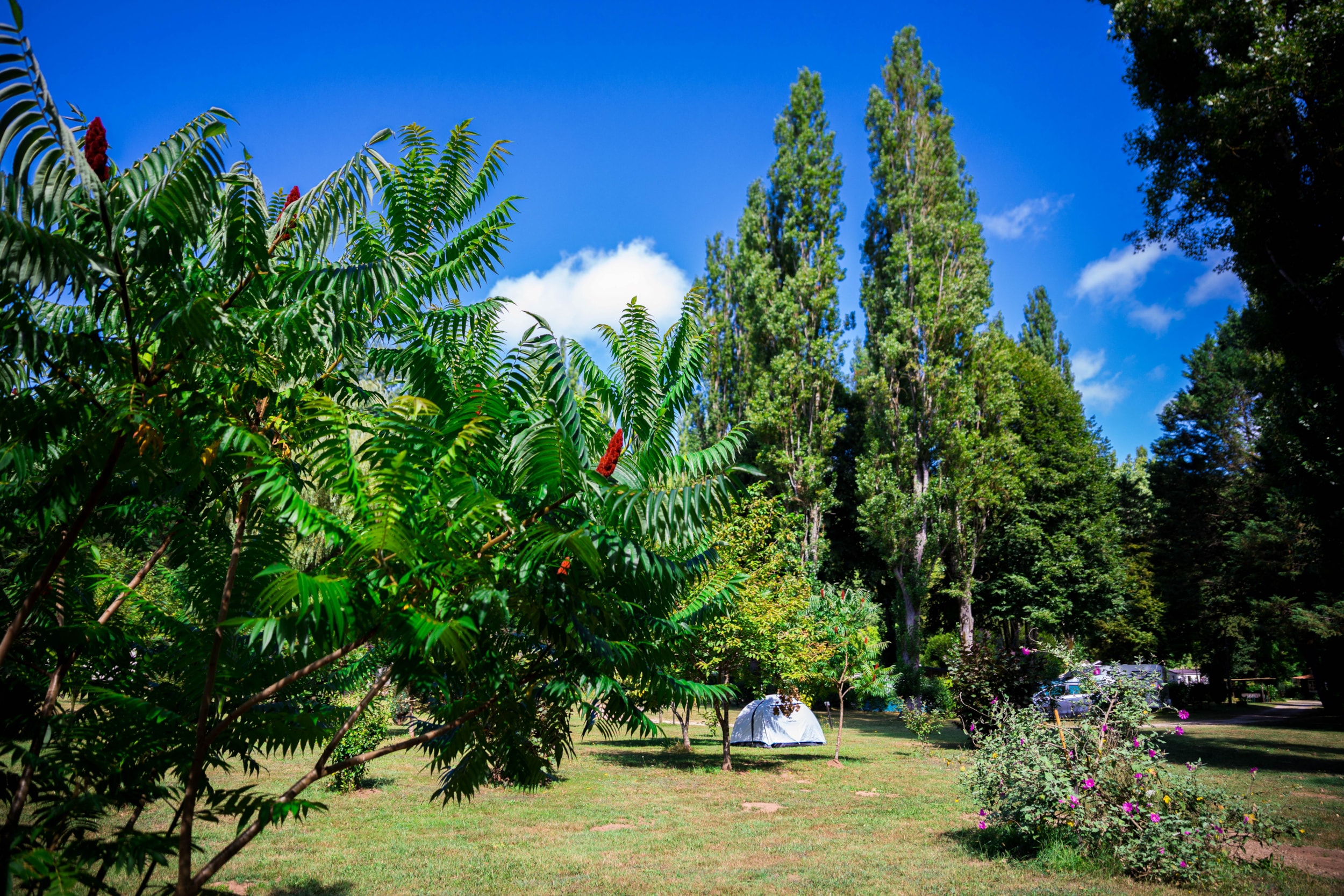 Camping d'Auberoche — Photo 3