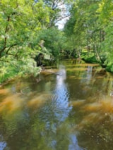 Foto #24 van Camping d’Auberoche