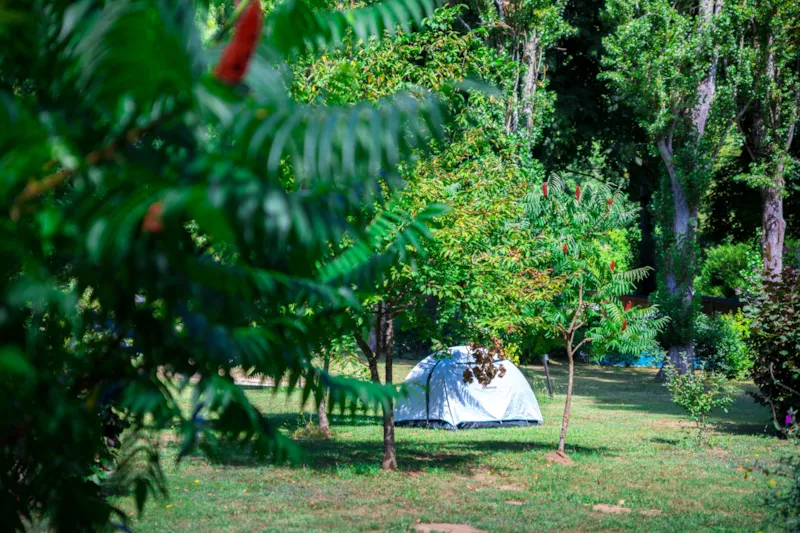 Emplacements  Pour Tente, Caravane Et Camping-Car Avec Électricité
