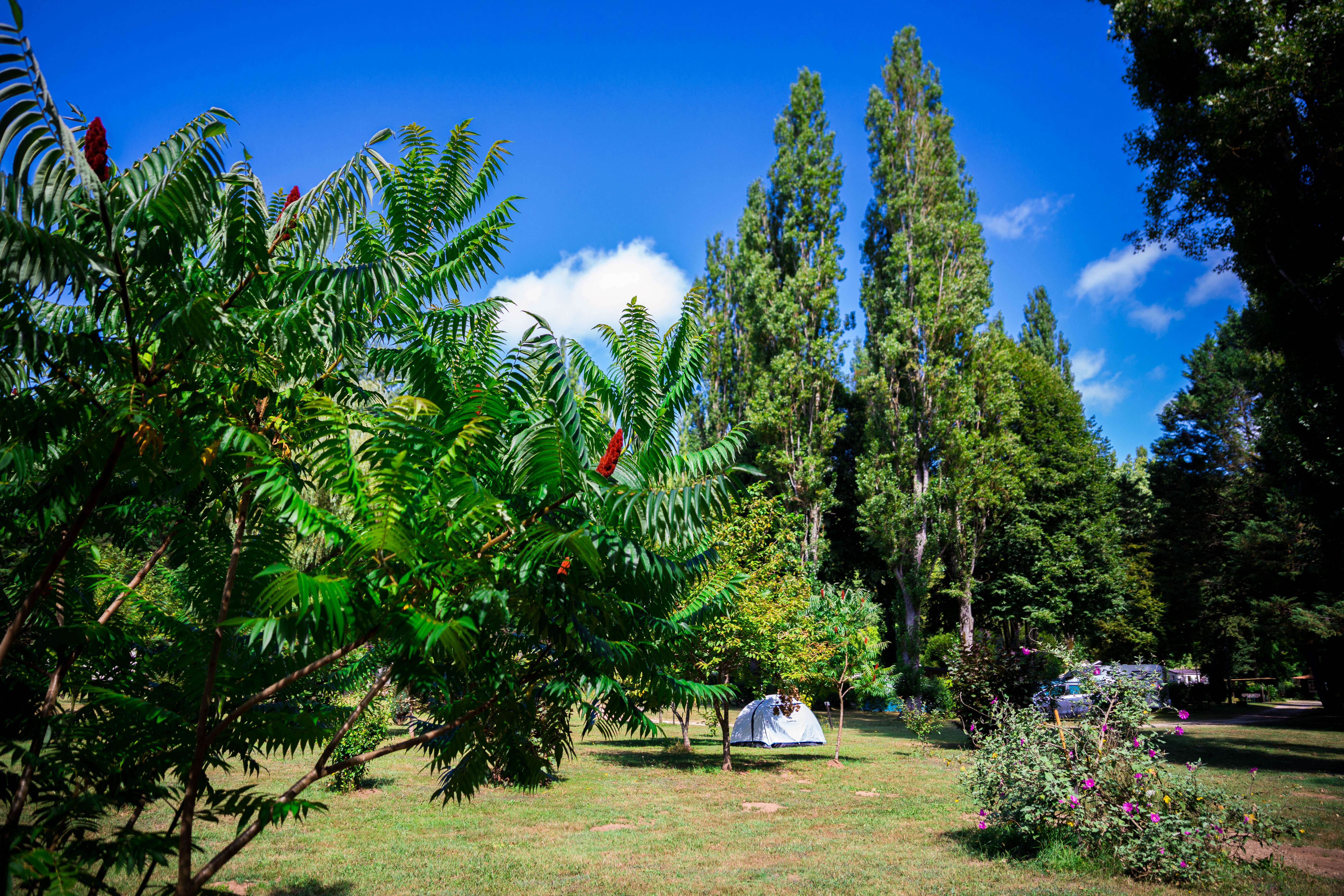 Pitch - Pitches For Tents, Caravans And Motorhomes With Reduced Mobility With Electricity - Camping d'Auberoche